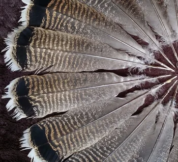 Biela Turecko perie veľkoobchodné zľavy 10-1000PCS / ks 25-30 CM DIY dekorácie Indickej headdress šípku perie