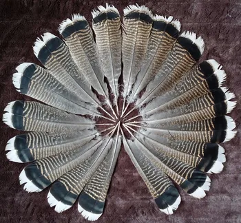 Biela Turecko perie veľkoobchodné zľavy 10-1000PCS / ks 25-30 CM DIY dekorácie Indickej headdress šípku perie
