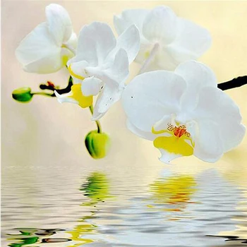 5D DIY Diamond Maľba Biela Orchidea, Kvety Výšivky Cross Stitch Drahokamu Mozaiky Maľovanie na stenu, nálepky, Svadobné Dekorácie